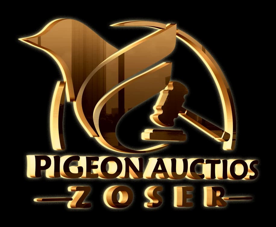 zoser auction logo